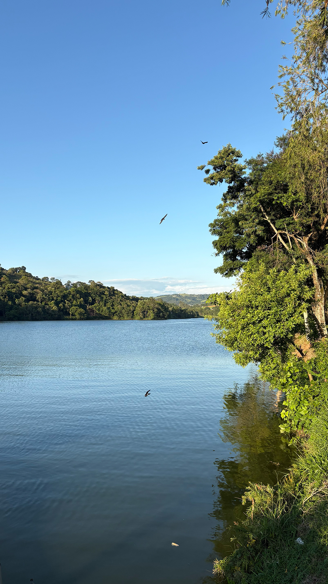 Lindóia